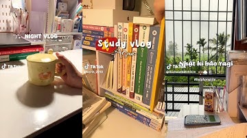 [Studytok] "Cứ sống hết mình vì chúng ta chỉ được sống một lần trong đời..."