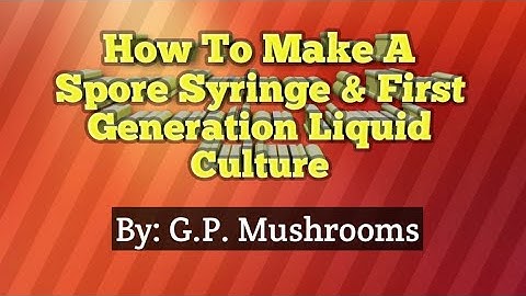 @g.p.mushrooms5496   How To Make Liquid Culture |and Spore Syringe
