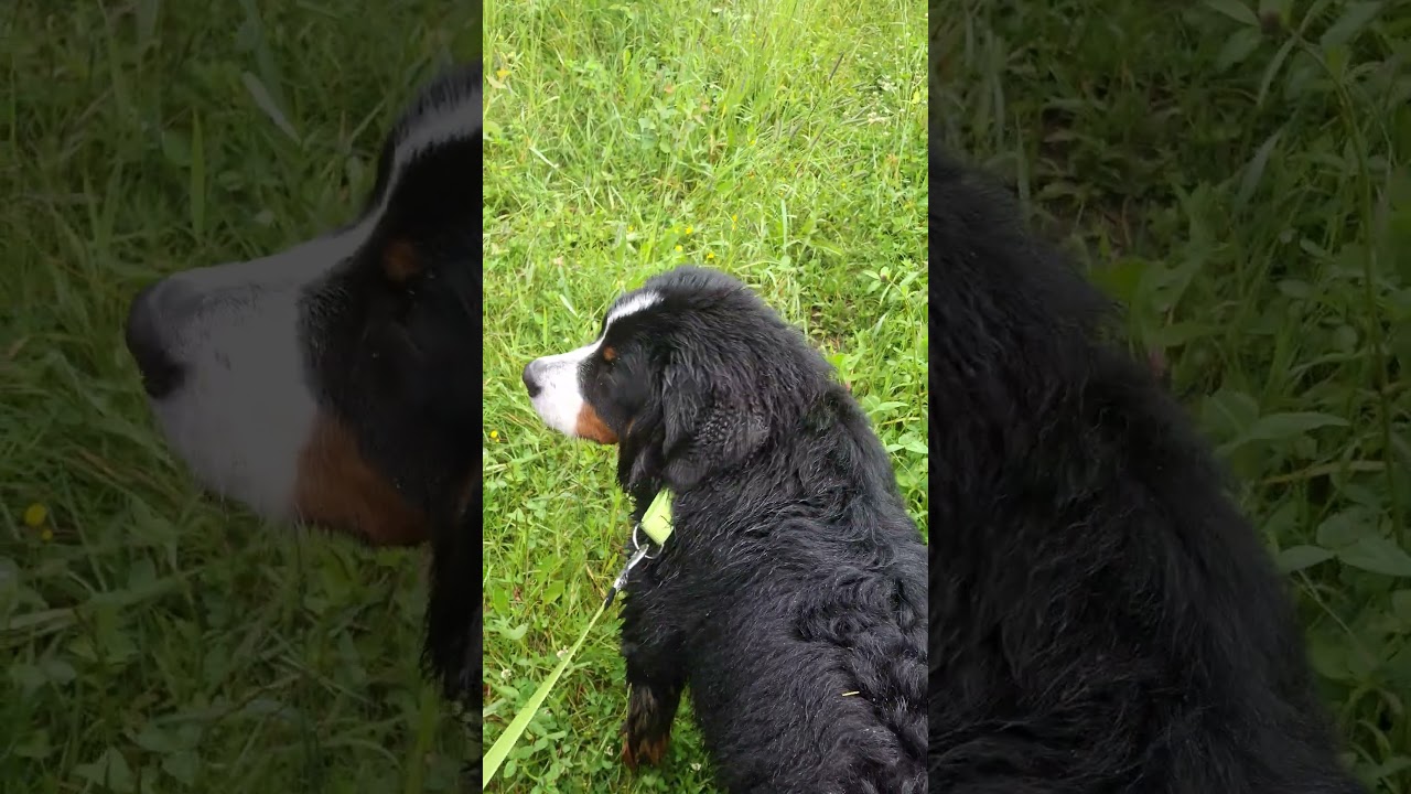 Ulla kulkee omia reittej&auml;&auml;n, kes&auml; 2025