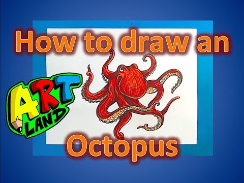 How to Draw an Octopus
