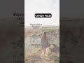 Singer Newmusic Song Singer Newmusic Song