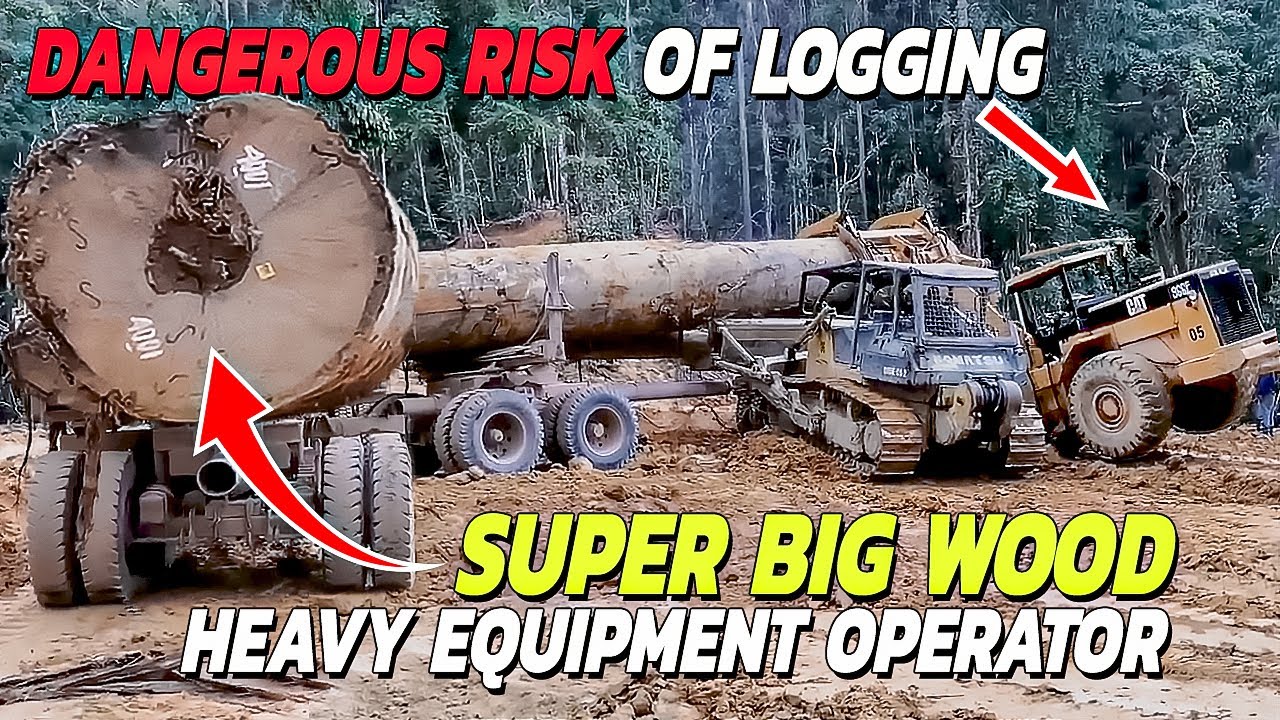 Big log перевод