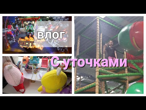 Влог с уточками Милка и Роза💗/Tanya diy/Таня и уточки/Лалафанфан
