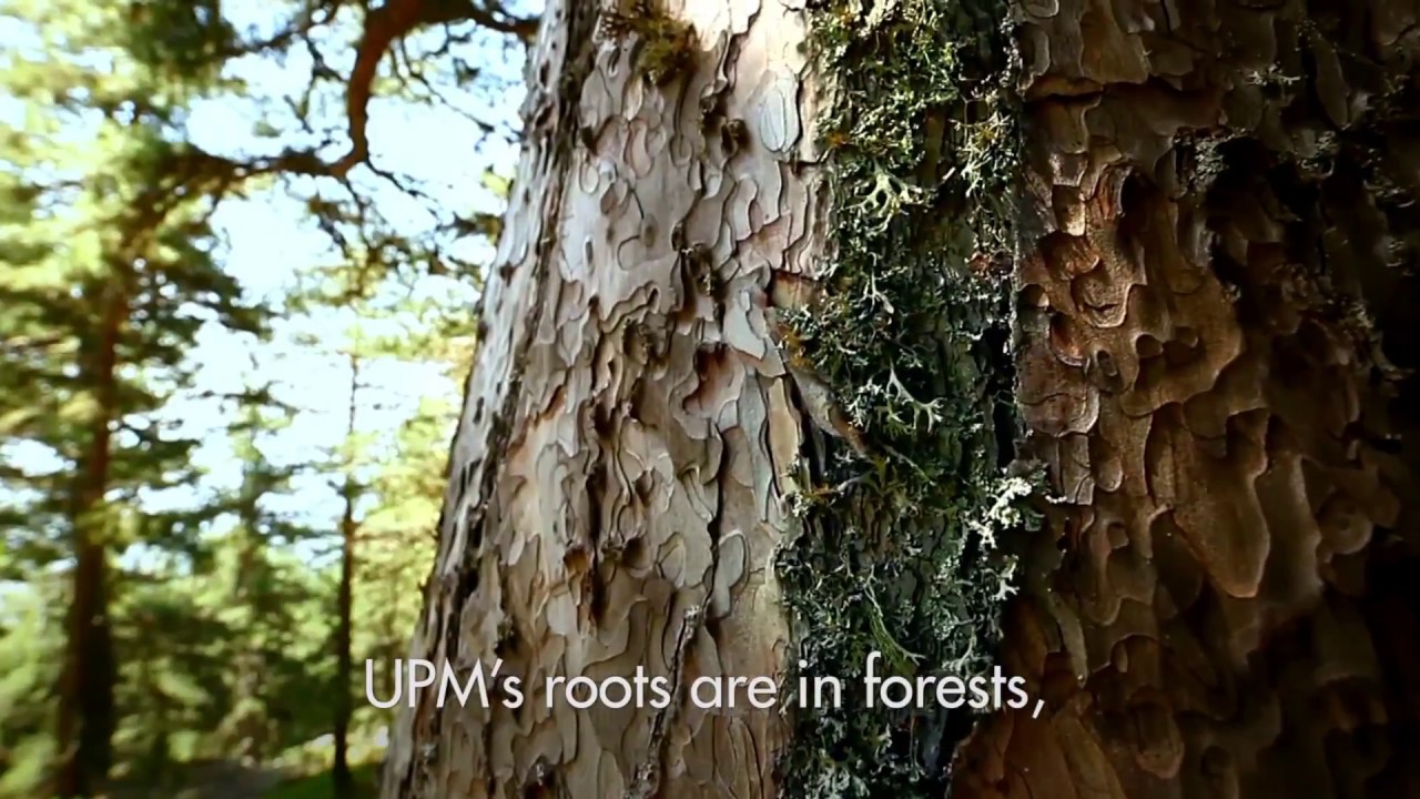 GrowDex – The cellulose based hydrogel for 3D cell culture