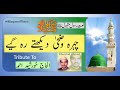 Chehra E Wadduha Dekhte Reh Gaye MaqsoodNaat Islamic Islamicnaats 2023 12rabiulawal Chehra E Wadduha Dekhte Reh Gaye MaqsoodNaat Islamic Islamicnaats 2023 12rabiulawal