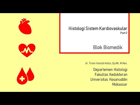 Video: Lintah Kembali Ke Masa Lalu: Flebotomi Berulang Dan Risiko Kardiovaskular