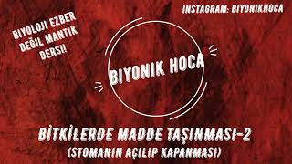 Bi̇tki̇lerde Madde Taşinmasi-2 Stoma