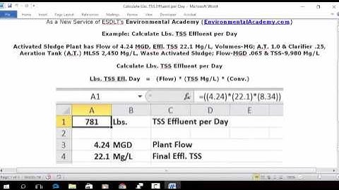Calculate Lbs  TSS Effluent per Day