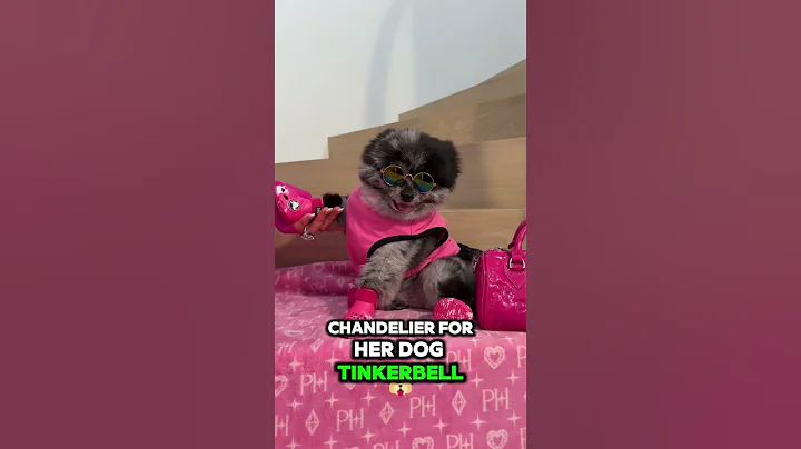 WHAT'S INSIDE Paris Hilton’s $325,000 Luxury Pet Mansion? 🐾 #shorts