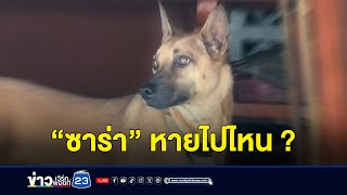 เข้าวันที่ 12 สุนัข “ซาร่า” หายปริศนา ระดมเงิน 6.5 หมื่นหาตัว | บรรจงชงข่าว | วันที่ 18 เมษายน 2567