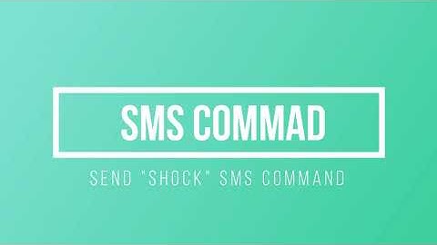 Step 4 Send SMS Command