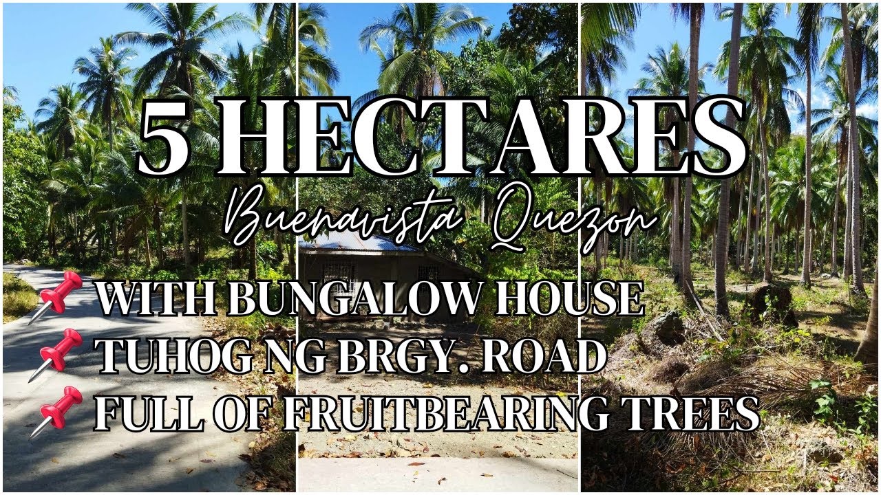 📍16A-378 | With 1 Bungalow House | With 1 Garage | Tuhog ng Brgy. Road | NEGOTIABLE !✅️ |