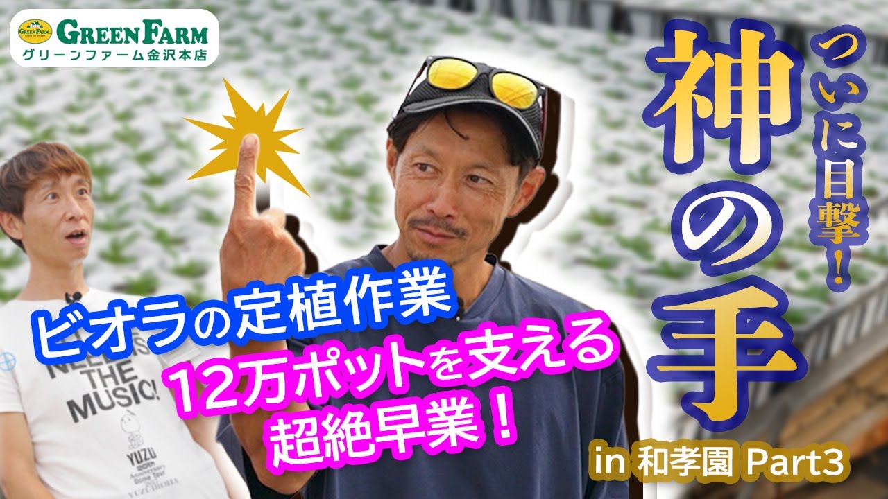期間限定値下げ！早い者勝ち！　ＦＬＯＲＡＥ　ＪＡＰＯＮＩＣＡＥ　ＦＡＭＩＬＩＡＥ Breaking news! 
