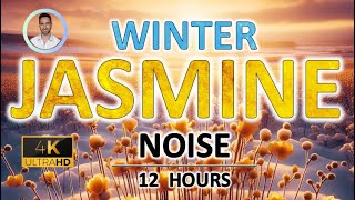 Winter Jasmine Yellow Noise for Deep Sleep, Study and Tinnitus Relief | 12 Hours | BLACK SCREEN |