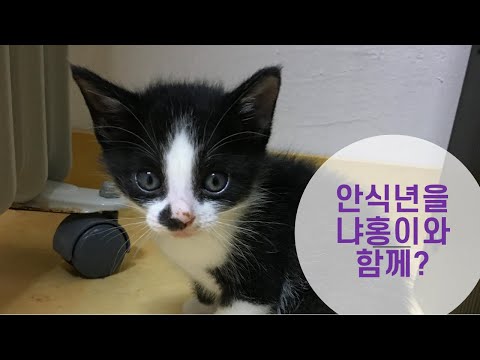 영상썸네일