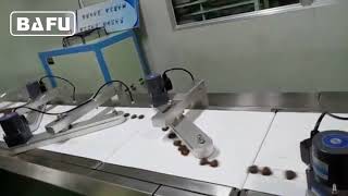 automated packaging of bars, chocolate bars packaging line, chocolate packaging machine