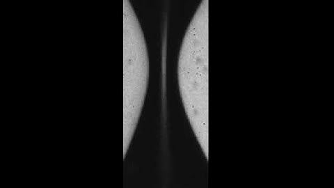 High-Speed Imaging of Drops and Bubbles: Supplemental Video 7