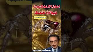 العنكبوت الحيوان المنحط اكتشف السبب... د مصطفى محمود #العلم_والايمان #مصطفى_محمود #العنكبوت