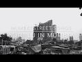 Mumbai paused indian street songs