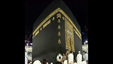 ماتيسر من سورة النبأ للشيخ انس العمادي