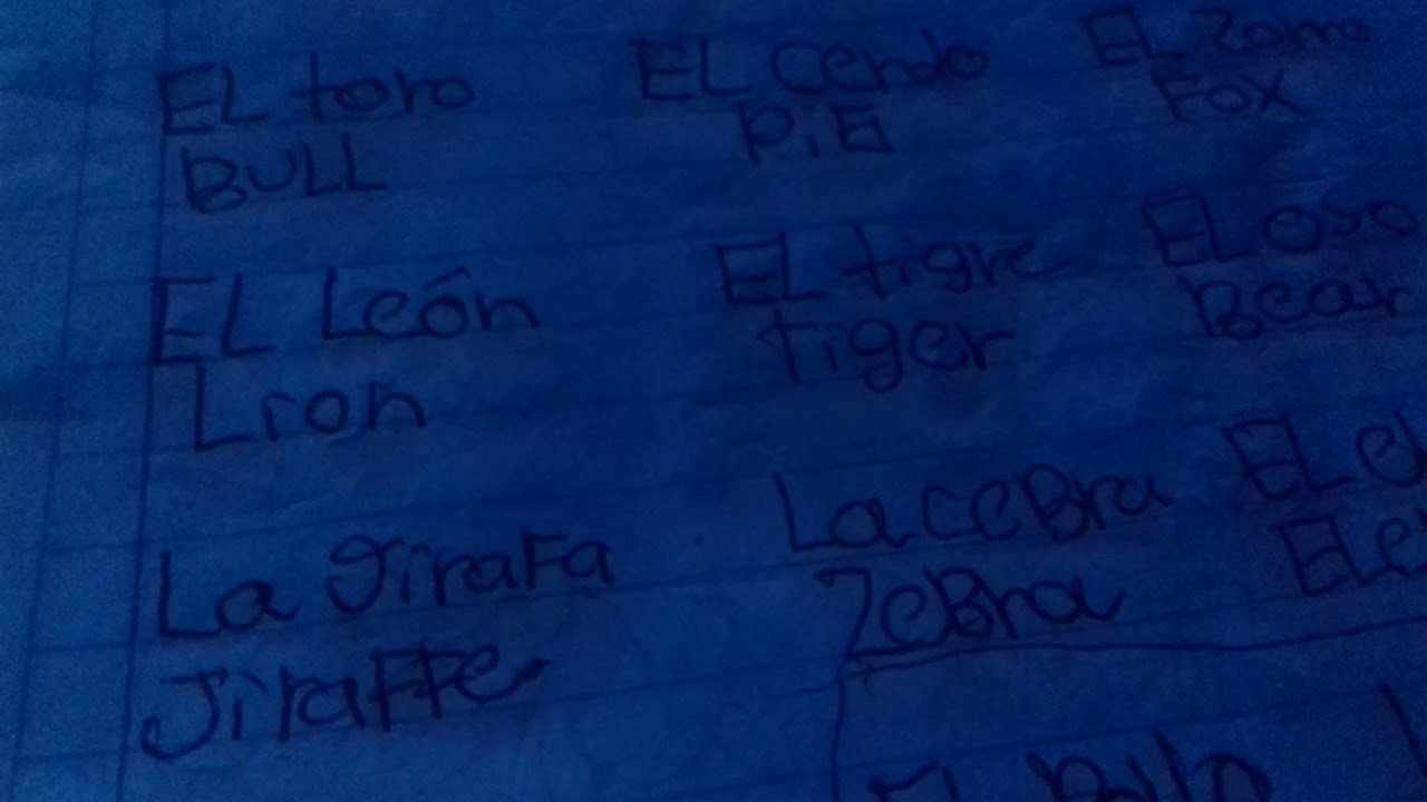 Como Se Dice Numero Entero En Ingles