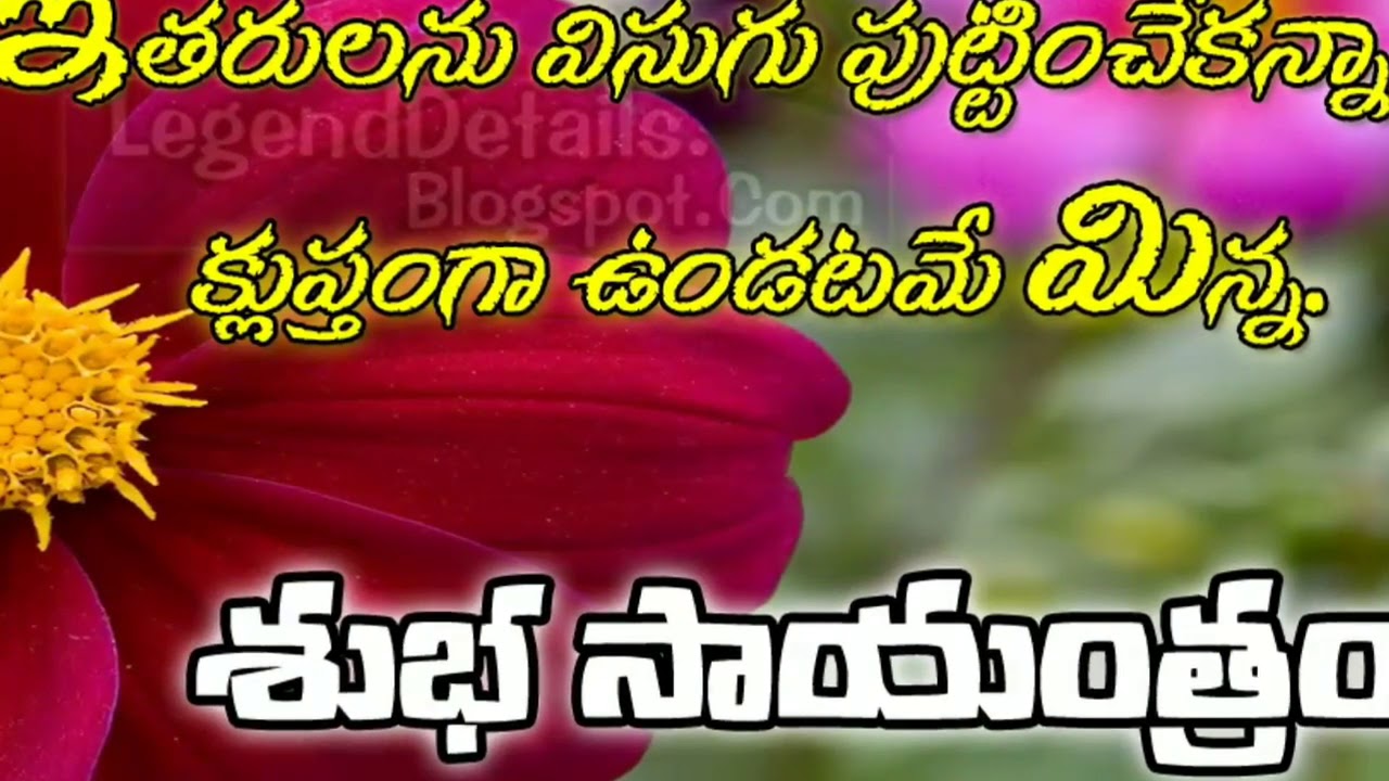 60 Whatsapp Good Evening Video Message In Telugu Youtube