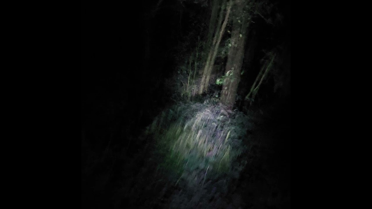 you will die alone and afraid