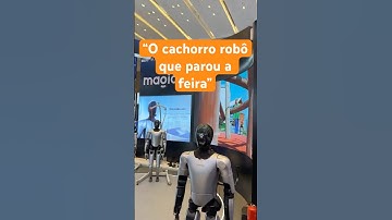 Todo mundo parou pra ver esse cachorro robô na feira da China!