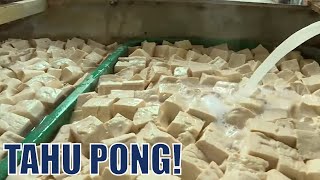 Proses Pembuatan Tahu Pong | BOCAH PETUALANG