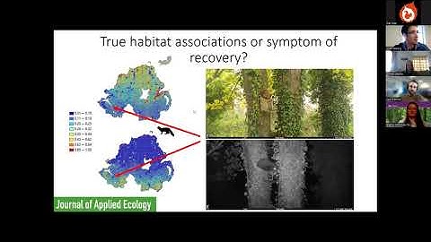 Pine marten conference