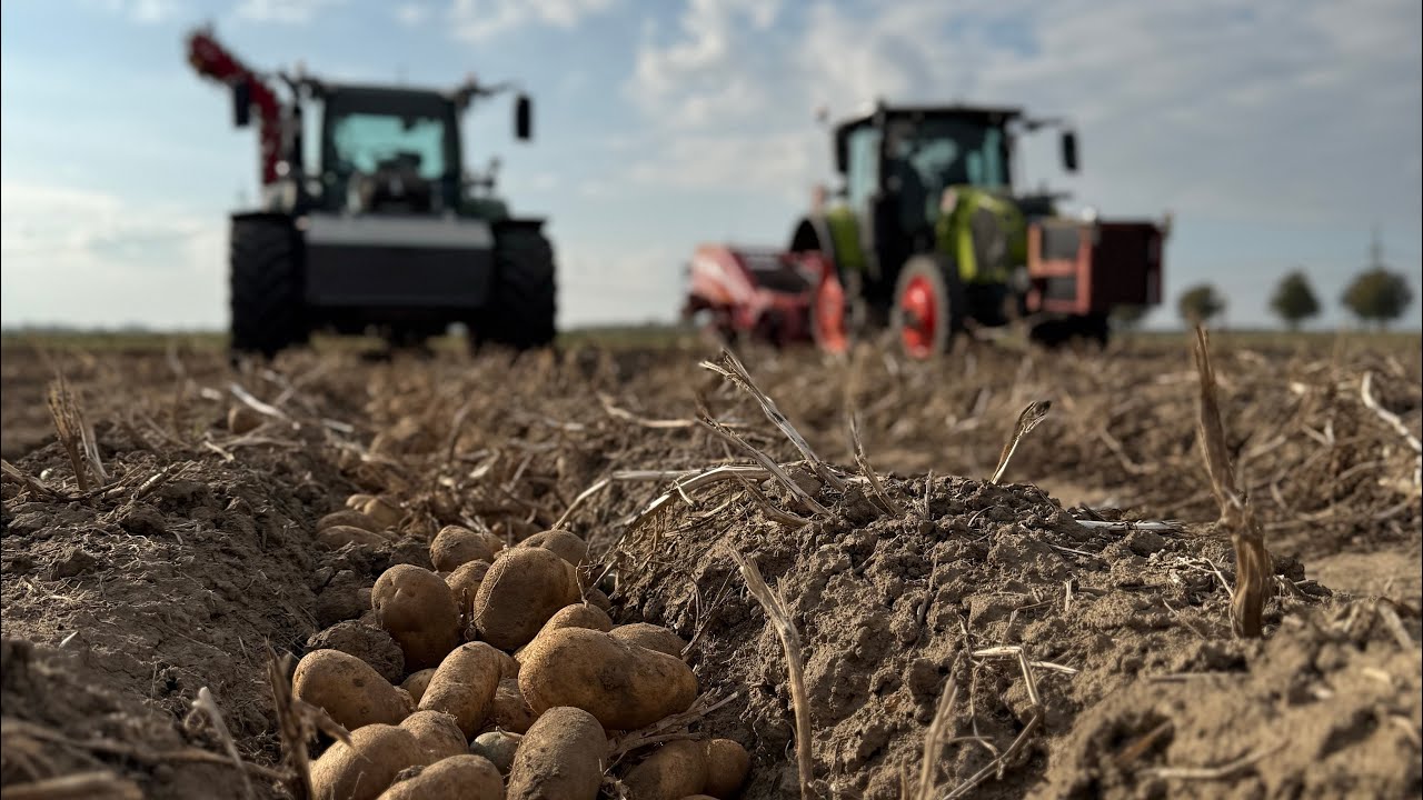 Rodetechnik!! Überladesysteme 🛠️💪🏻🥔❤️ #kartoffeln #grimme 