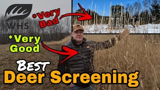 What Screening To Plant For Deer And How Much