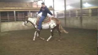 Mr Krymsun