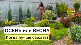 : !       ?