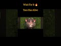 Tom Has Alive | Talking Tom &amp; Friends | (Cartoon Voice) | Part 2 | Epic Editz | #shorts