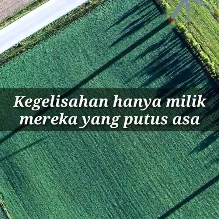 Kegelisahan hanya milik mereka yang putus asa #salingmotivasi #katakatabijak #quotes #putusasa