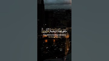 حالات واتس إسلامية جميلة | تلاوات خاشعة | #قران_كريم #holy_quran