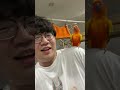 友達の家のインコ乗ってきてビビってる【ポインティ】