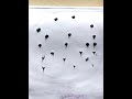 beautiful nature senary painting #ytshorts #youtubeshorts#viral#viralshorts #shortvideo#short#shorts
