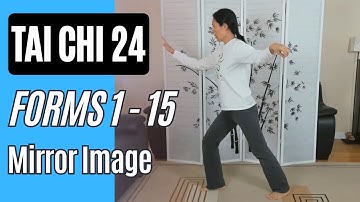 Tai Chi 24, Forms 1-15 Mirror Image up to Turn & Left Heel Kick