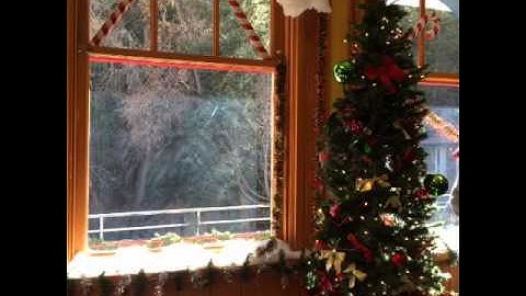 Shadow Puppet Edu App Lesson Example: The bear