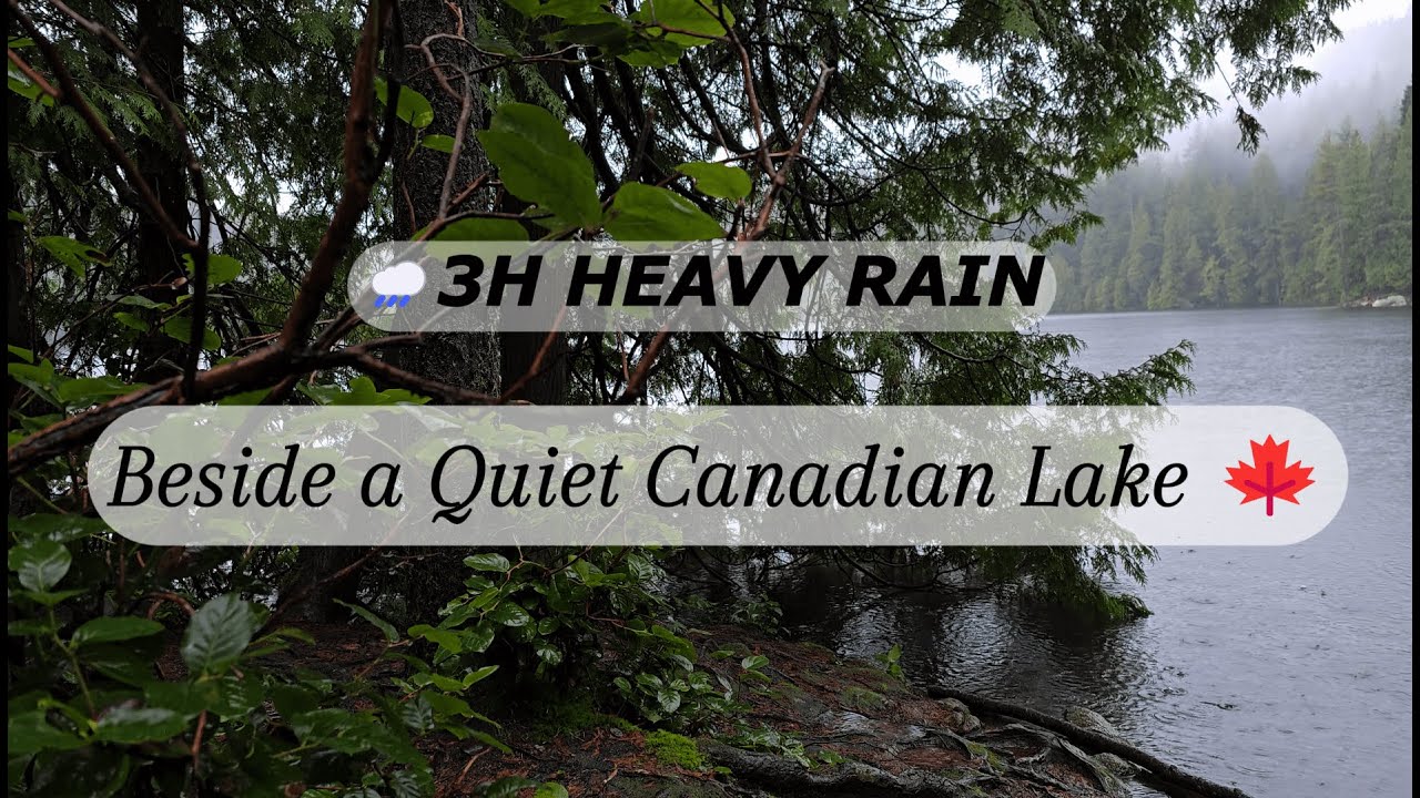 3h | heavy rain | sleep • focus • calm  Recorded beside a quiet Canadian lake 🍁