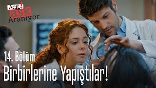 Birbirlerine Yapıştılar - Acil Aşk Aranıyor 14. Bölüm