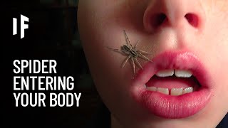 What If a Spider Crawled Into Your Body While You‘re Sleeping?