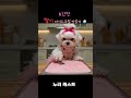초간단 딸기 아이스크림 만들기 #반려견 #말티즈 #강아지 #dog #maltese #반려동물 #strawberryicecreamrecipe #icecream #딸기