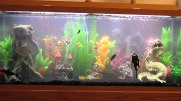 Before the Fluval C4