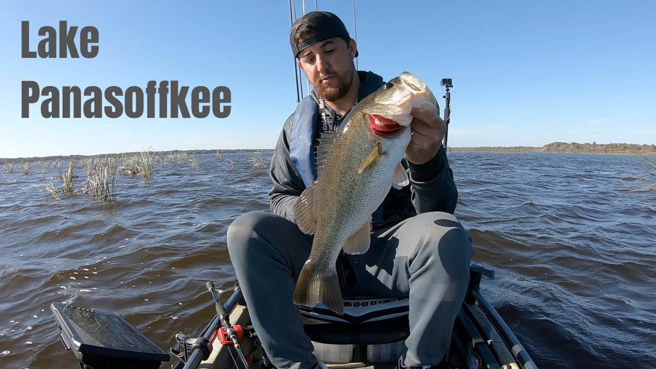 Bass Fishing Lake Panasoffkee