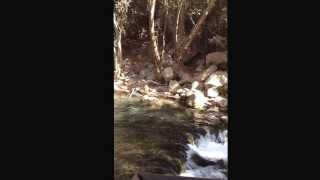 Banias Waterfall 2