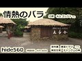 情熱のバラ キム ヨンジャ hide560 情熱の薔薇 済州島 129 韓国カラオケ