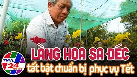 Làng hoa Sa Đéc tất bật chuẩn bị hoa kiểng phục vụ tết Quý Mão 2023